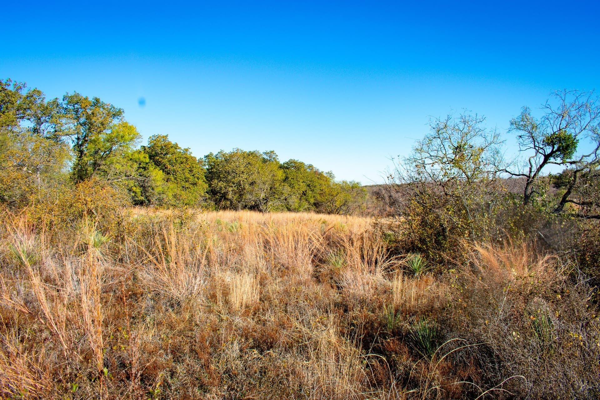 38.83 acres in San Saba County - photo 4