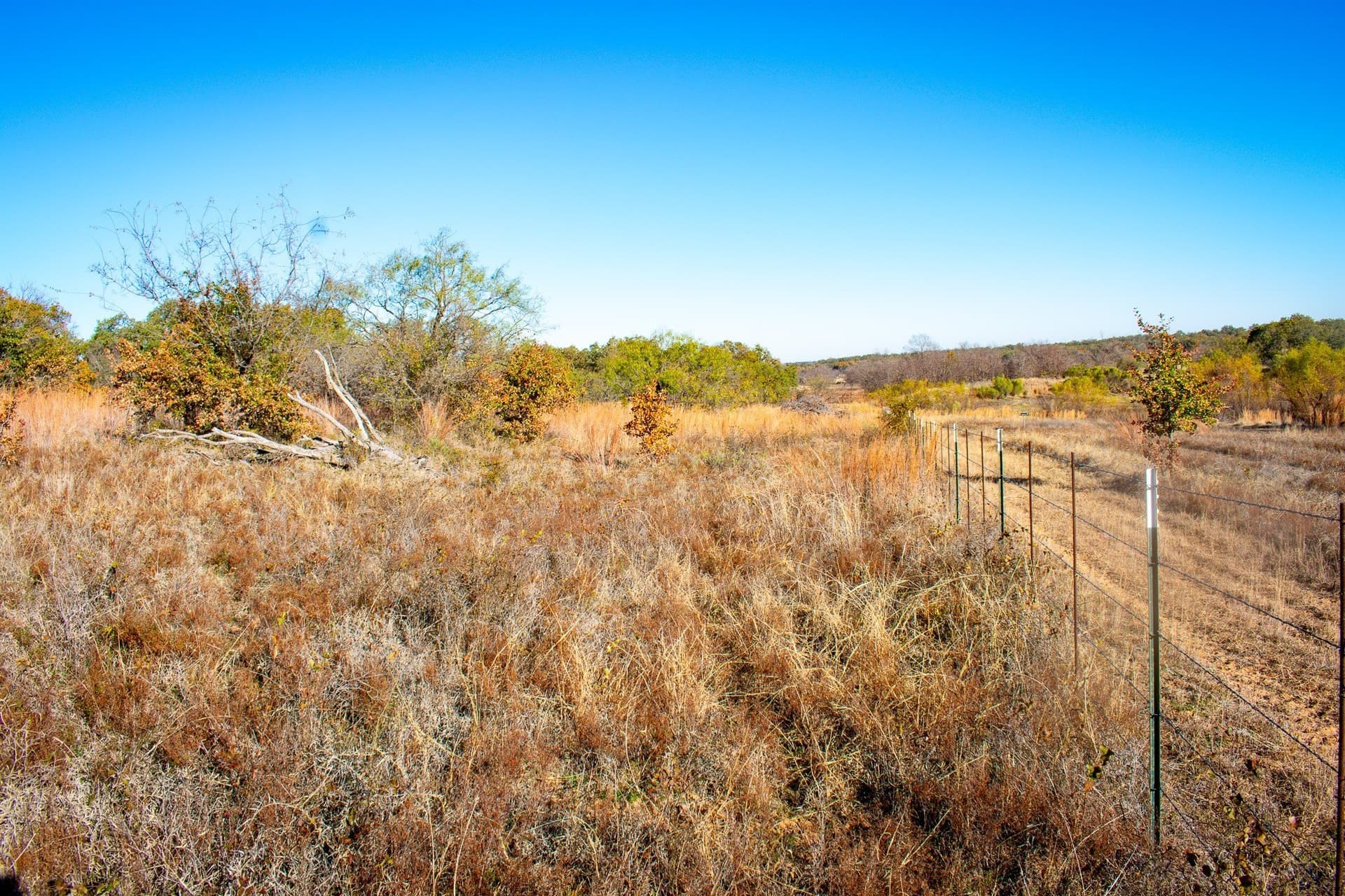 38.83 acres in San Saba County - photo 2