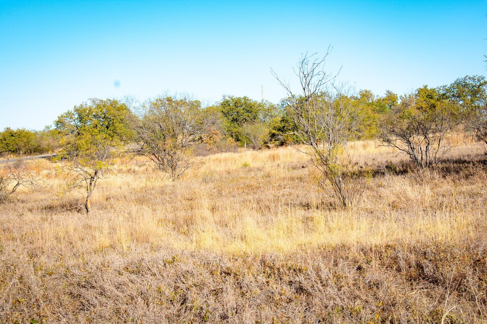 38.83 acres in San Saba County - photo 5