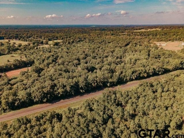 11.86 acres in Smith County - photo 8