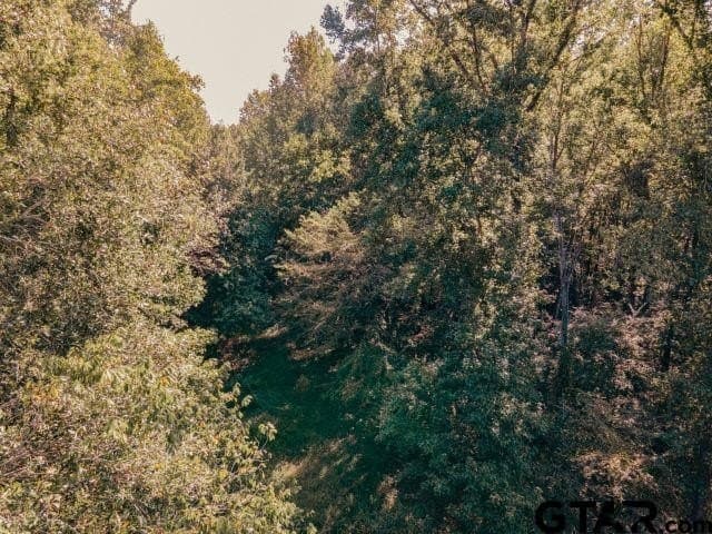 11.86 acres in Smith County - photo 14