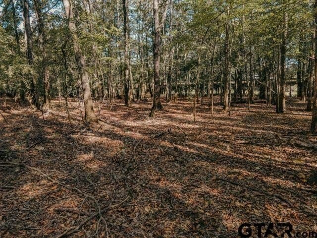11.86 acres in Smith County - photo 17