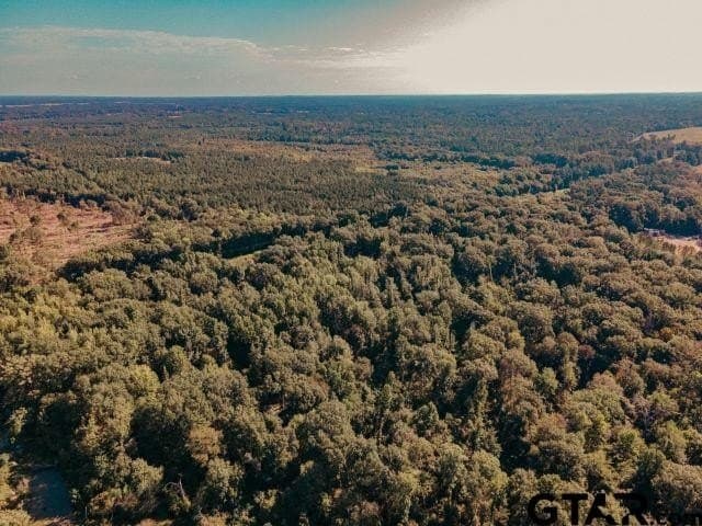 11.86 acres in Smith County - photo 5