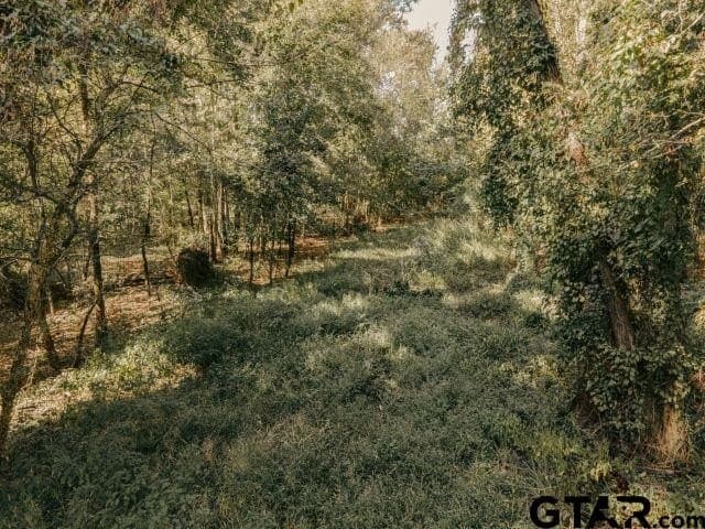 11.86 acres in Smith County - photo 13