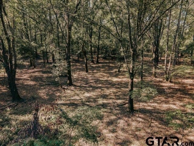 11.86 acres in Smith County - photo 16