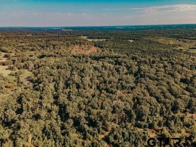 11.86 acres in Smith County - photo 3