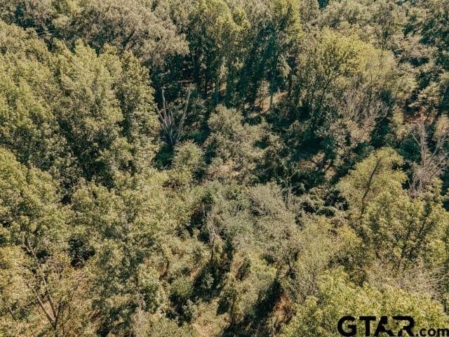 11.86 acres in Smith County - photo 15