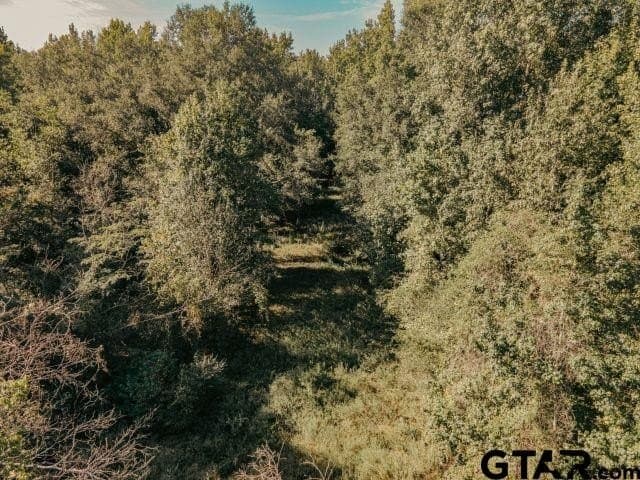 11.86 acres in Smith County - photo 11