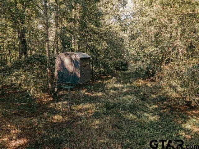 11.86 acres in Smith County - photo 12