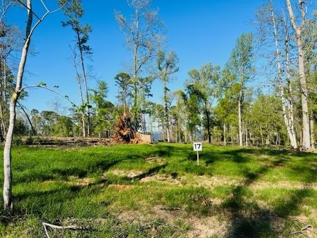 1.18 acres in Texas County gallery image 2