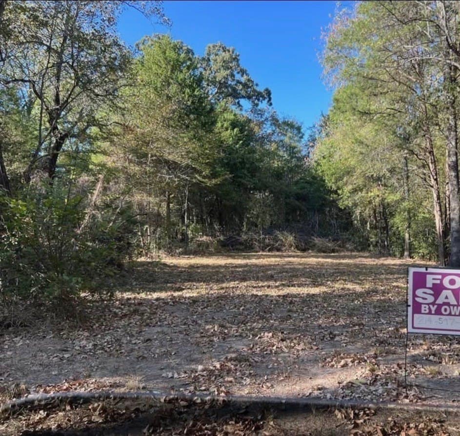 0.05 acres in Henderson County gallery image 2