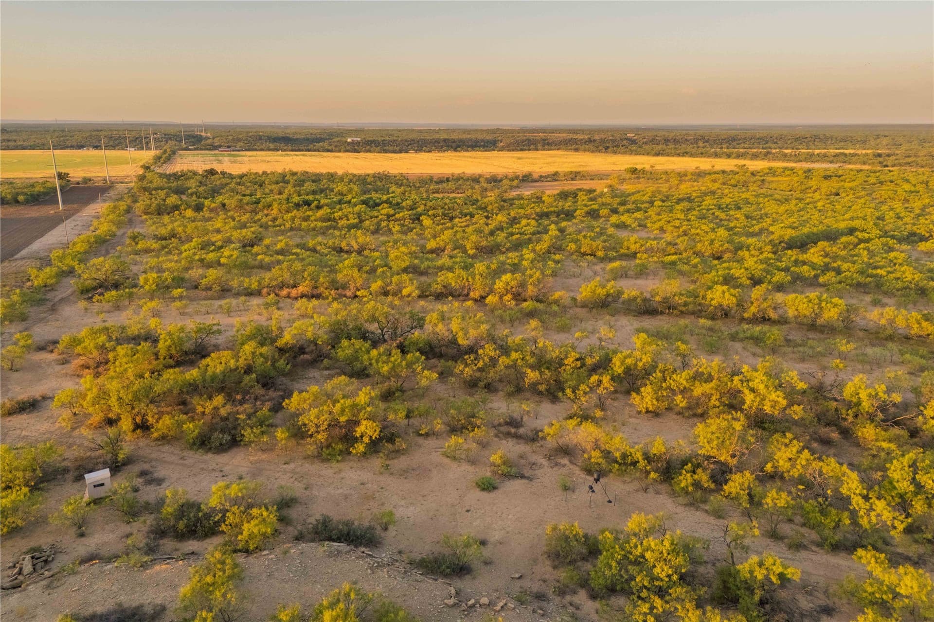 195.5 acres in Coleman County - photo 33