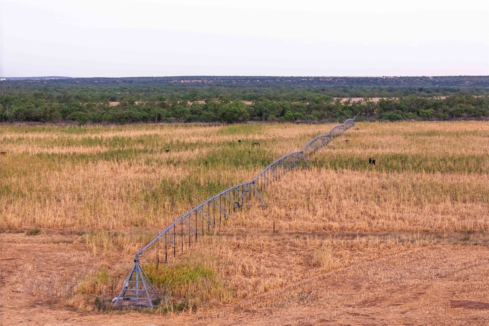 195.5 acres in Coleman County - photo 32