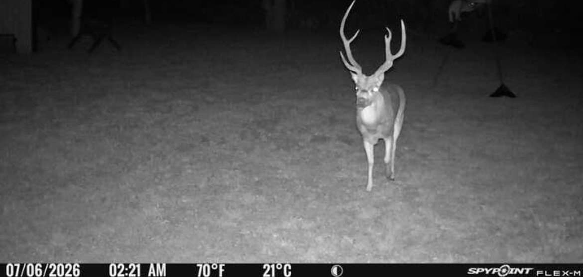 195.5 acres in Coleman County - photo 40