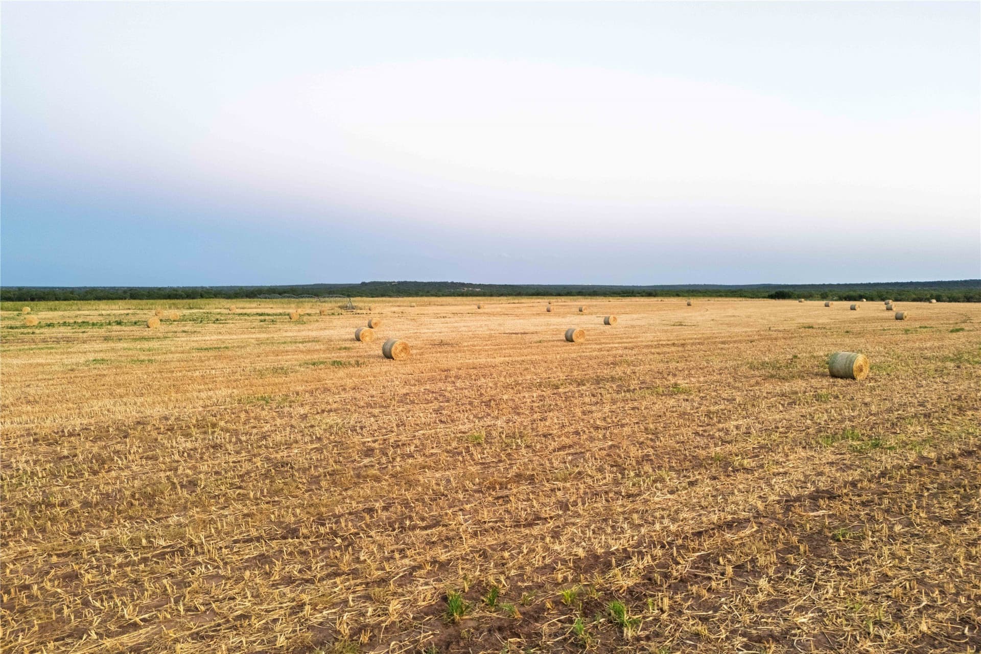 195.5 acres in Coleman County - photo 31