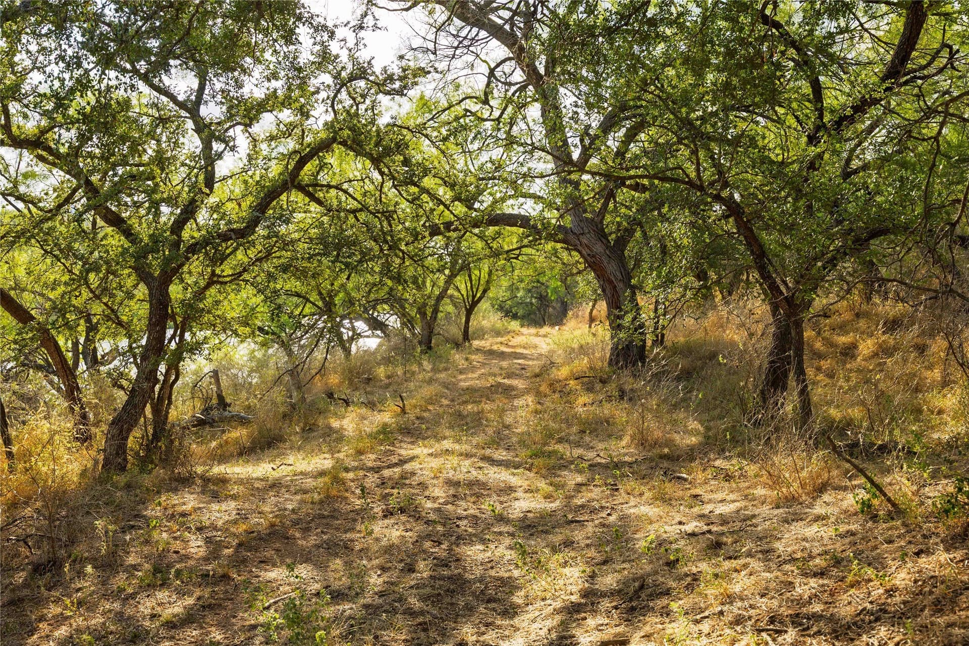 195.5 acres in Coleman County - photo 23