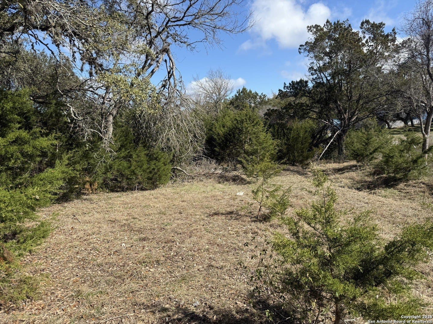 0.37 acres in Comal County gallery image 3