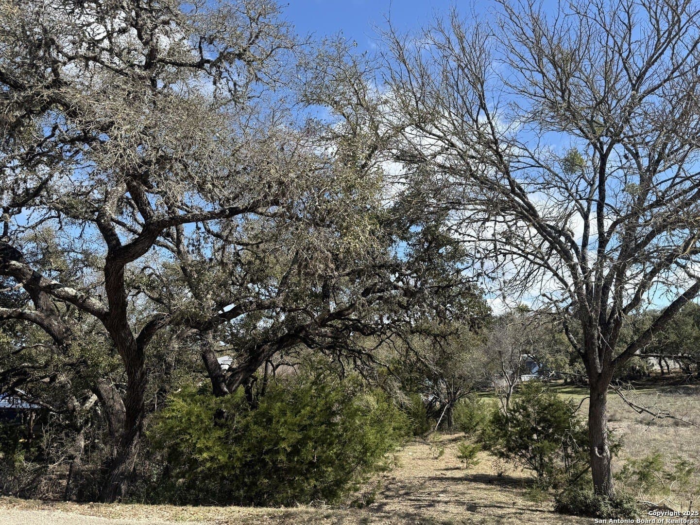 0.37 acres in Comal County gallery image 2