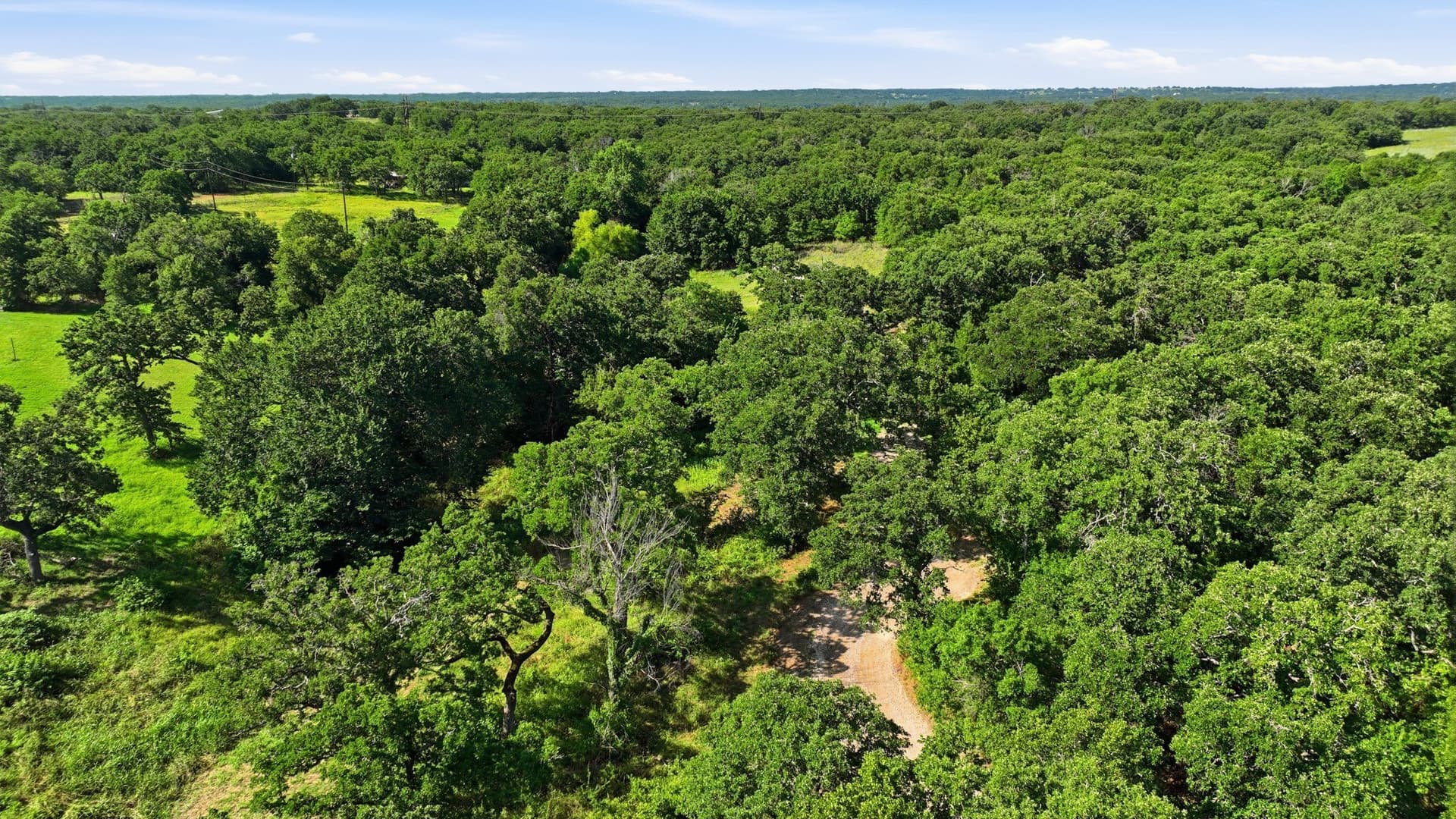 13 acres in Parker County gallery image 4