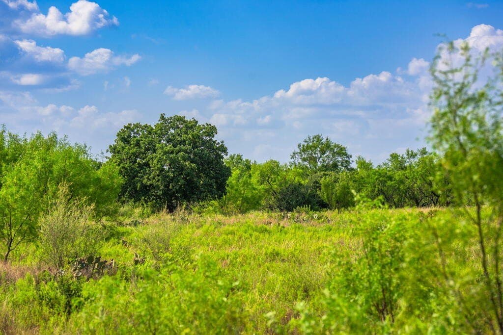 77.07 acres in Mason County - photo 4