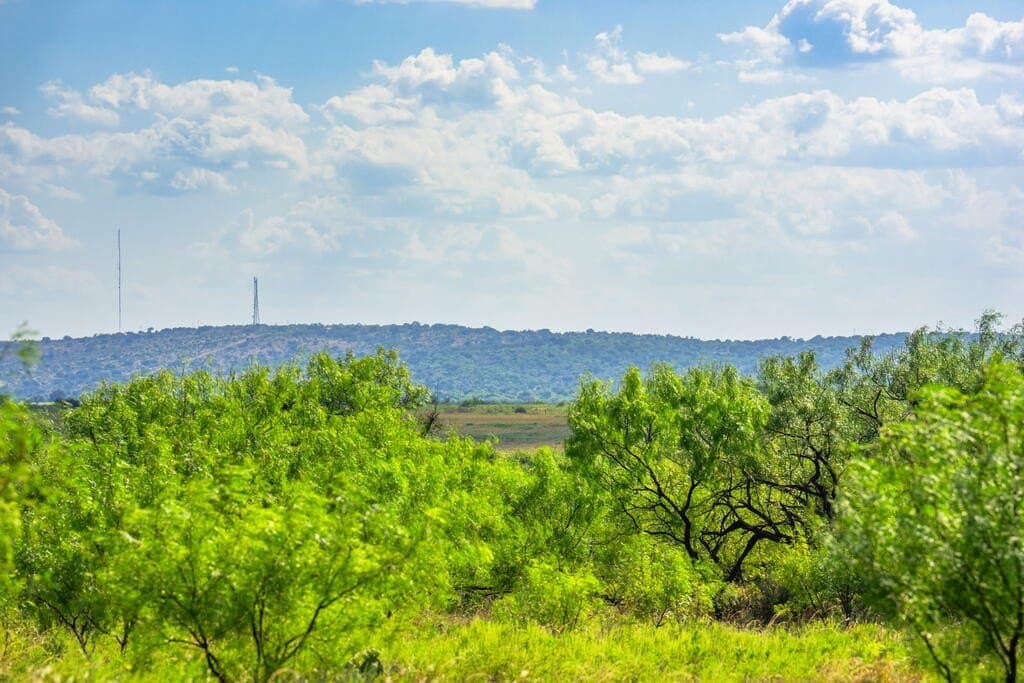 77.07 acres in Mason County - photo 12