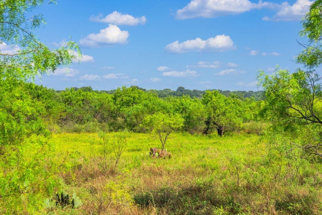 77.07 acres in Mason County - photo 14