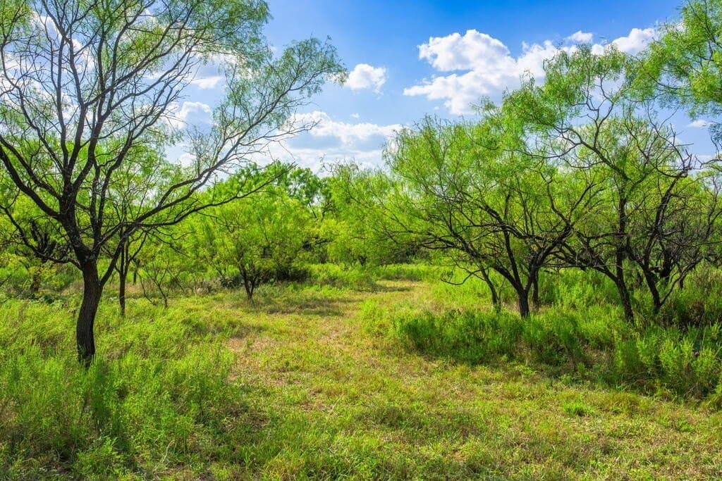 77.07 acres in Mason County - photo 10