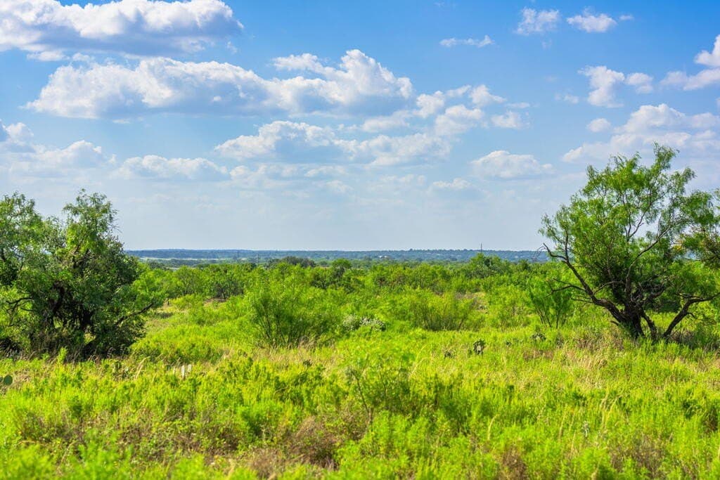 77.07 acres in Mason County - photo 7
