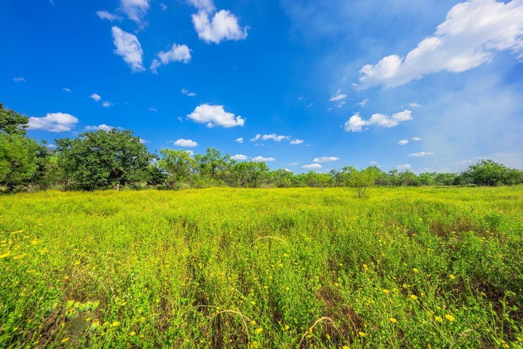 77.07 acres in Mason County - photo 15