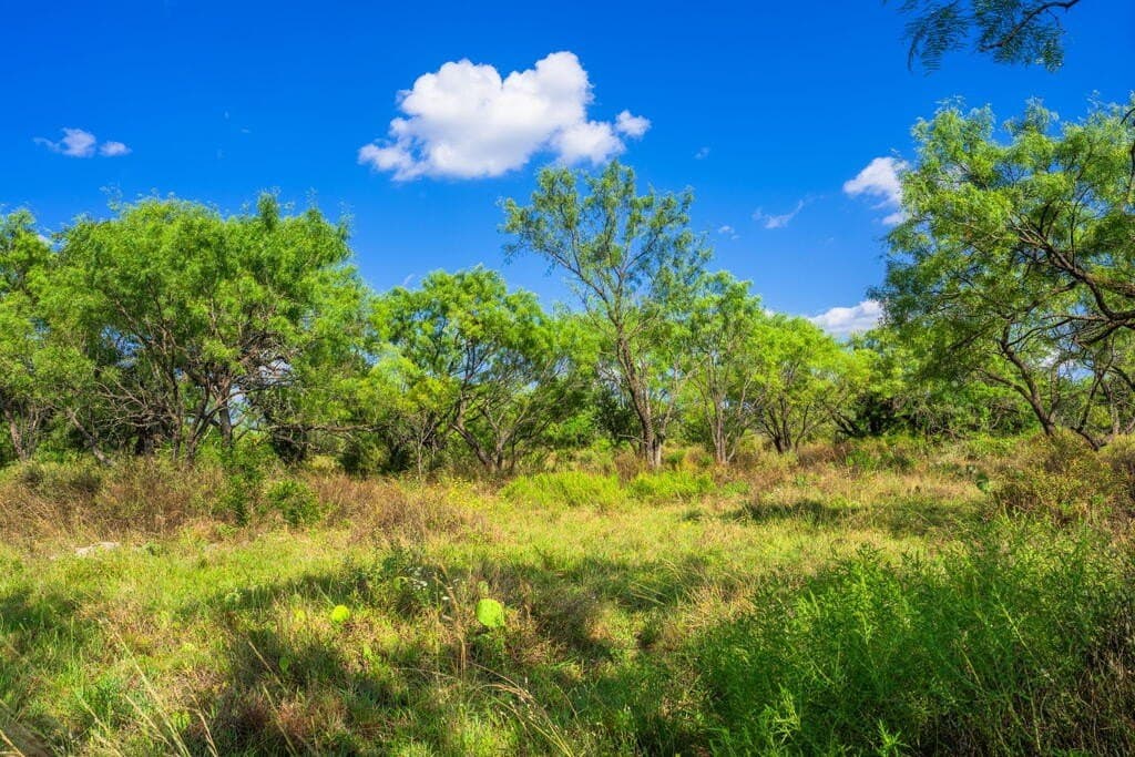 77.07 acres in Mason County - photo 16