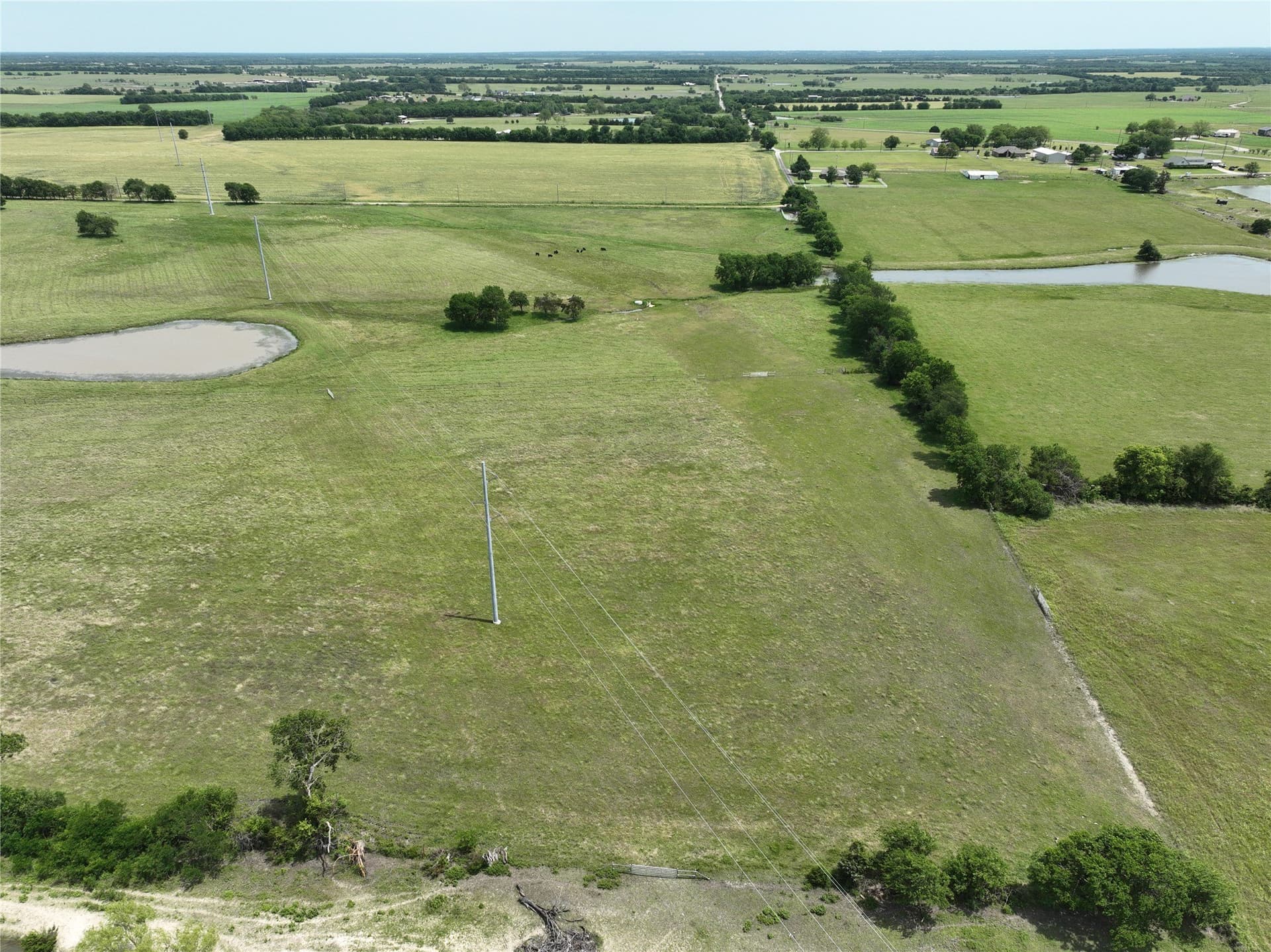 13.4 acres in Fannin County gallery image 4
