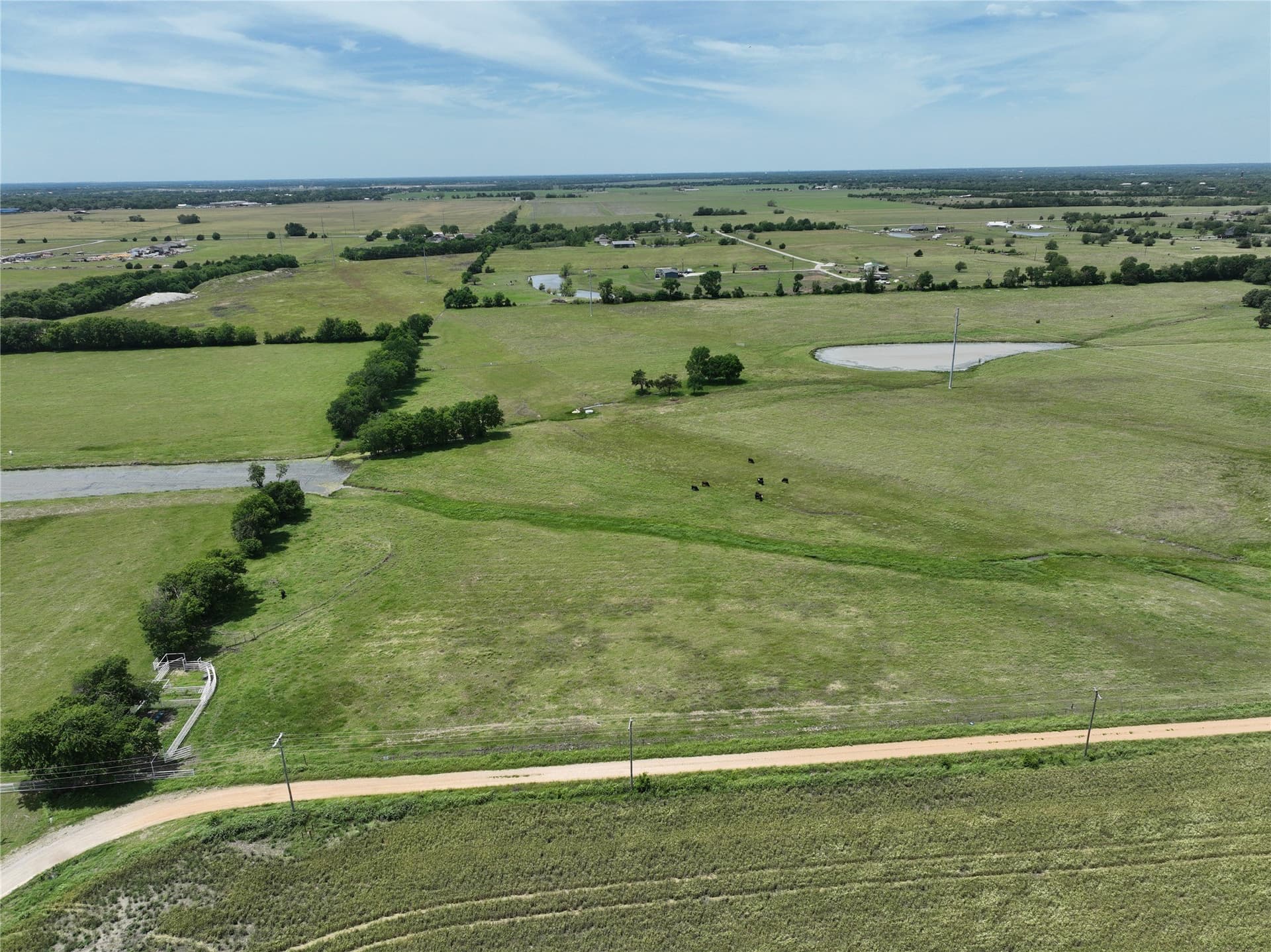 13.4 acres in Fannin County gallery image 2