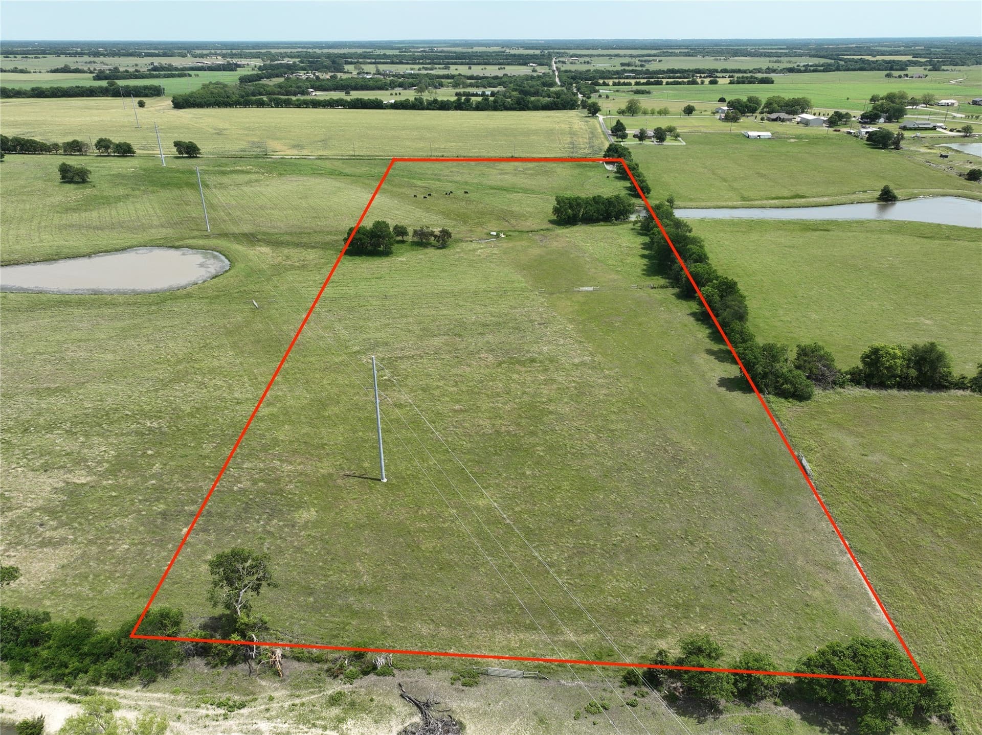 13.4 acres in Fannin County gallery image 3