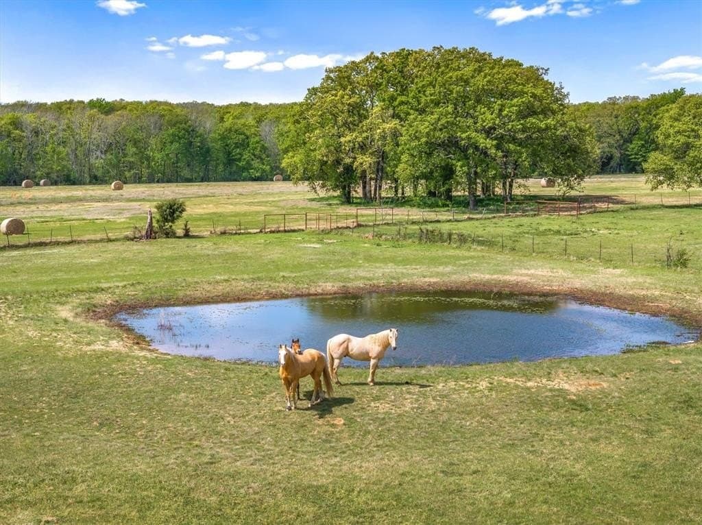 15 acres in Van Zandt County gallery image 2