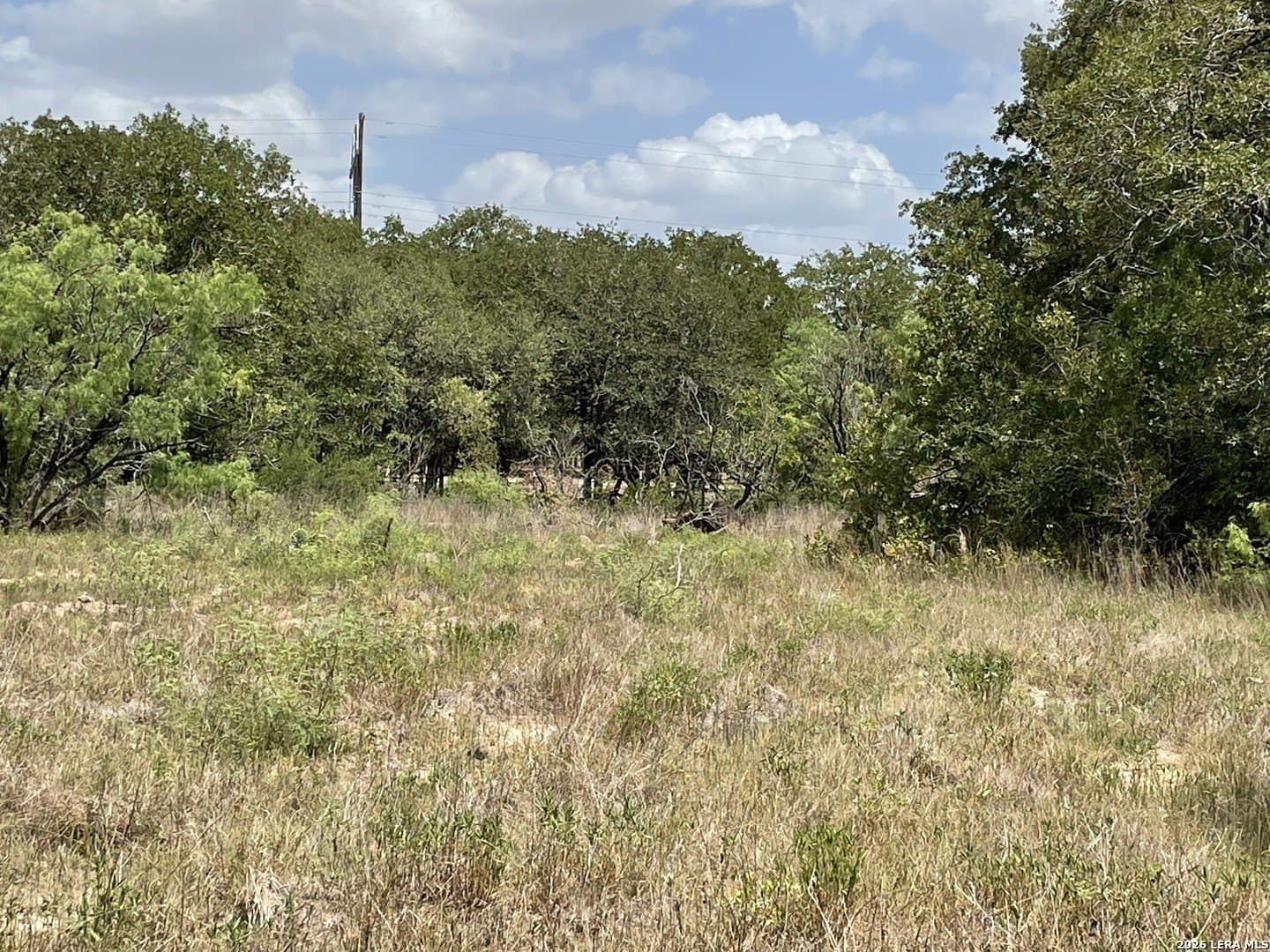 8.5 acres in Caldwell County - photo 6