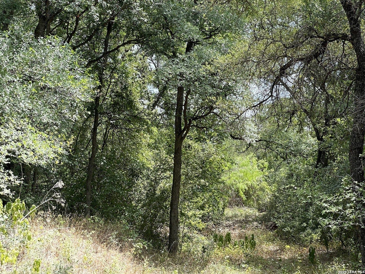 8.5 acres in Caldwell County - photo 10