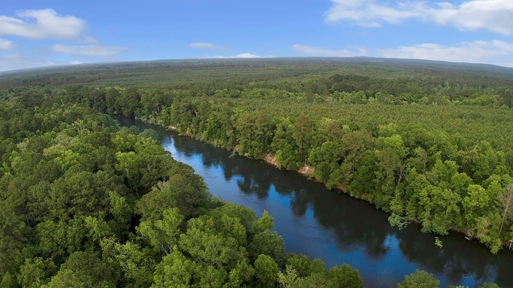 259.3 acres in Texas County gallery image 3