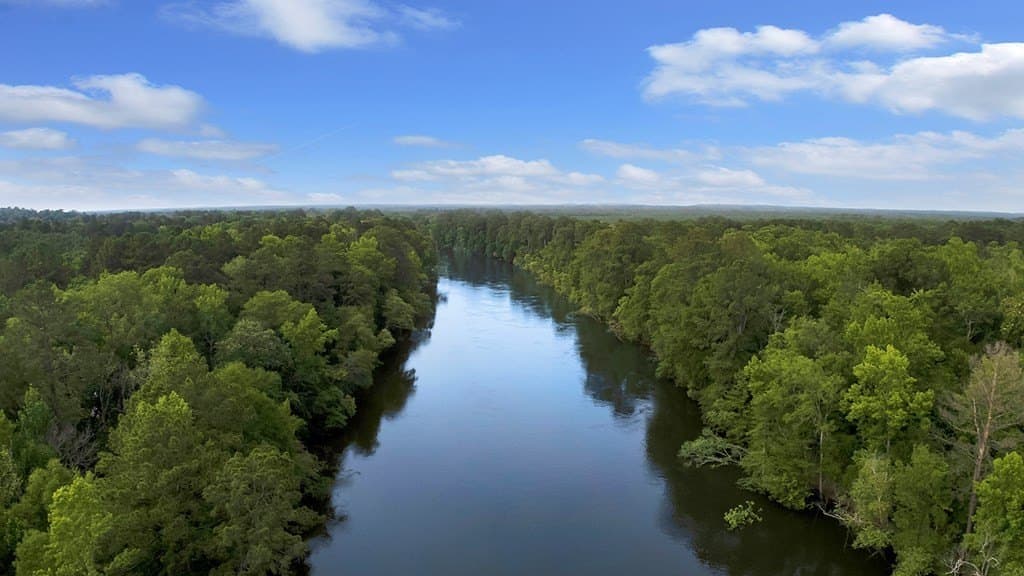259.3 acres in Texas County featured view