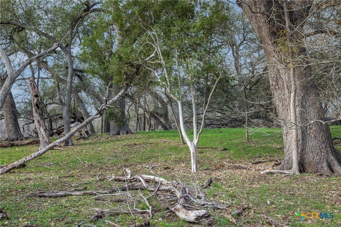 156.61 acres in Caldwell County - photo 25