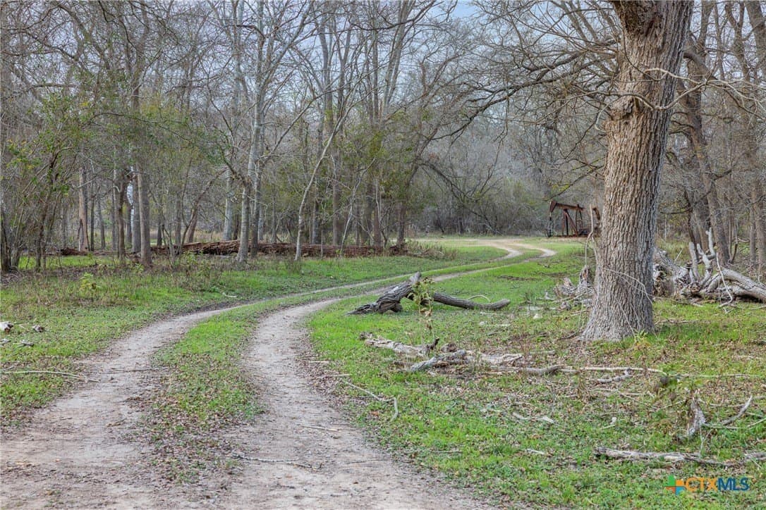 156.61 acres in Caldwell County - photo 18