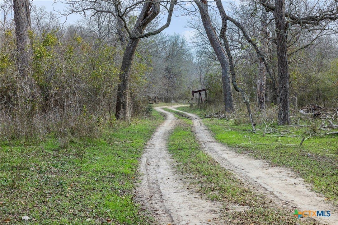 156.61 acres in Caldwell County - photo 16