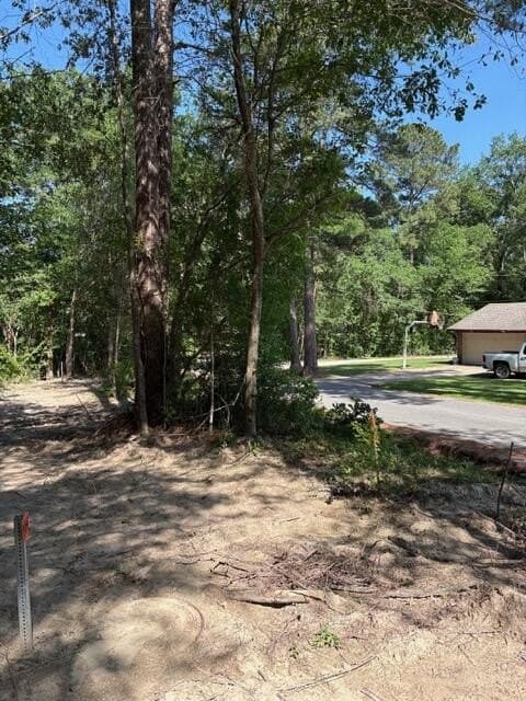 0.32 acres in Texas County - photo 5