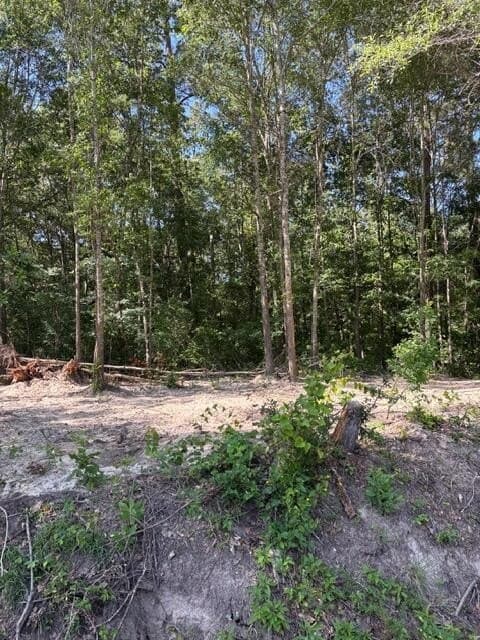 0.32 acres in Texas County - photo 11
