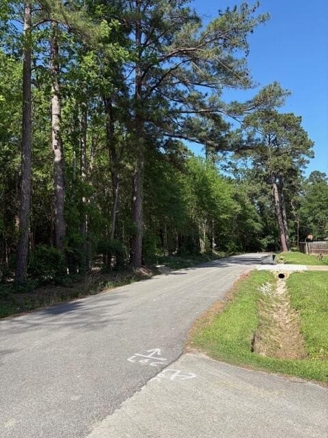 0.32 acres in Texas County - photo 9