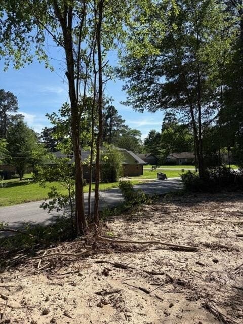 0.32 acres in Texas County - photo 7