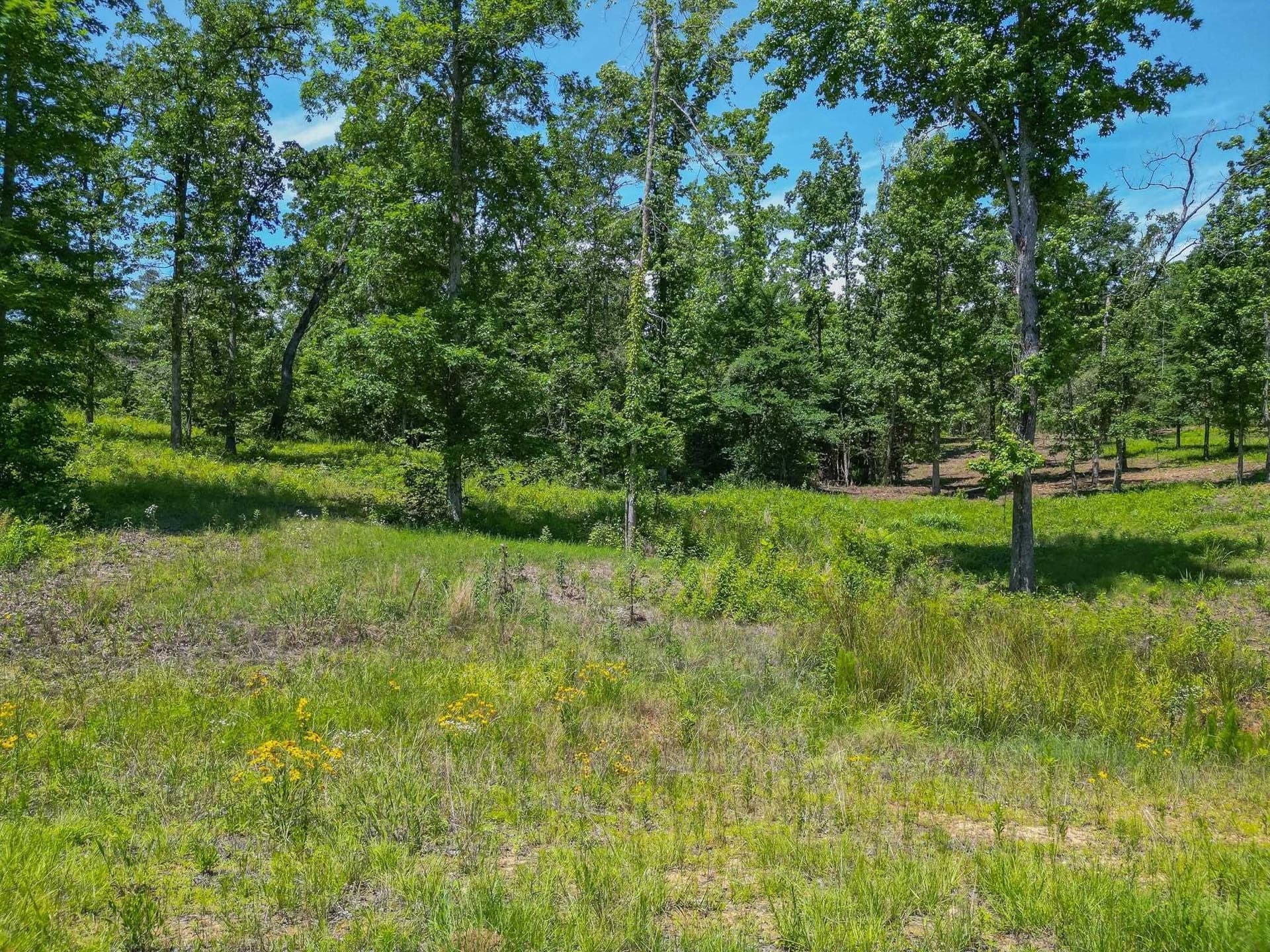 2.02 acres in Harrison County - photo 6