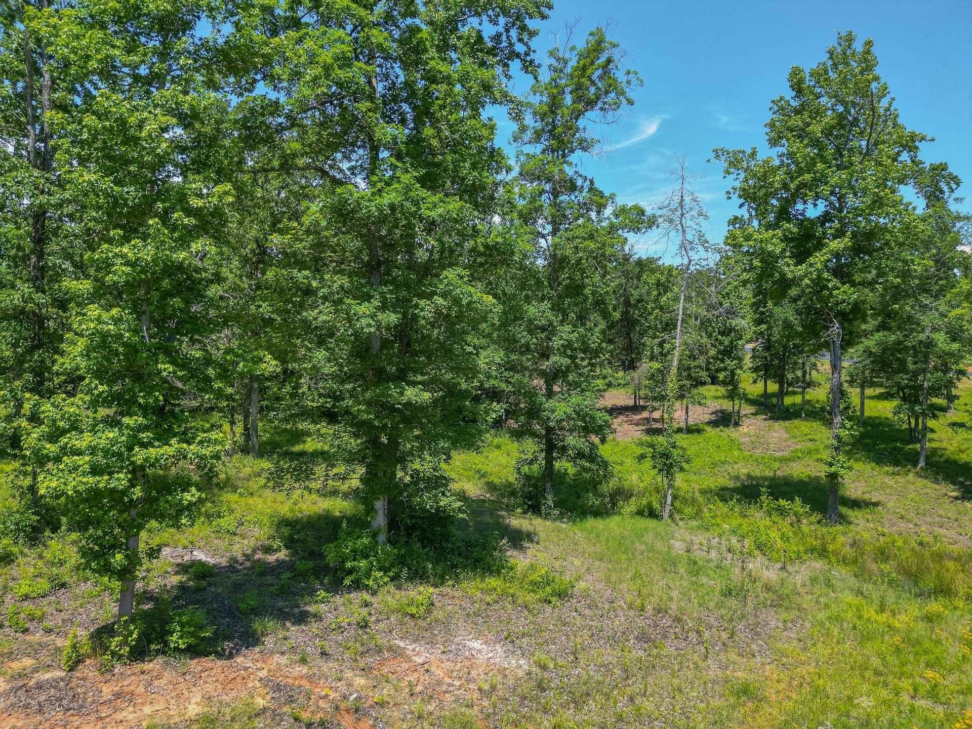 2.02 acres in Harrison County - photo 7
