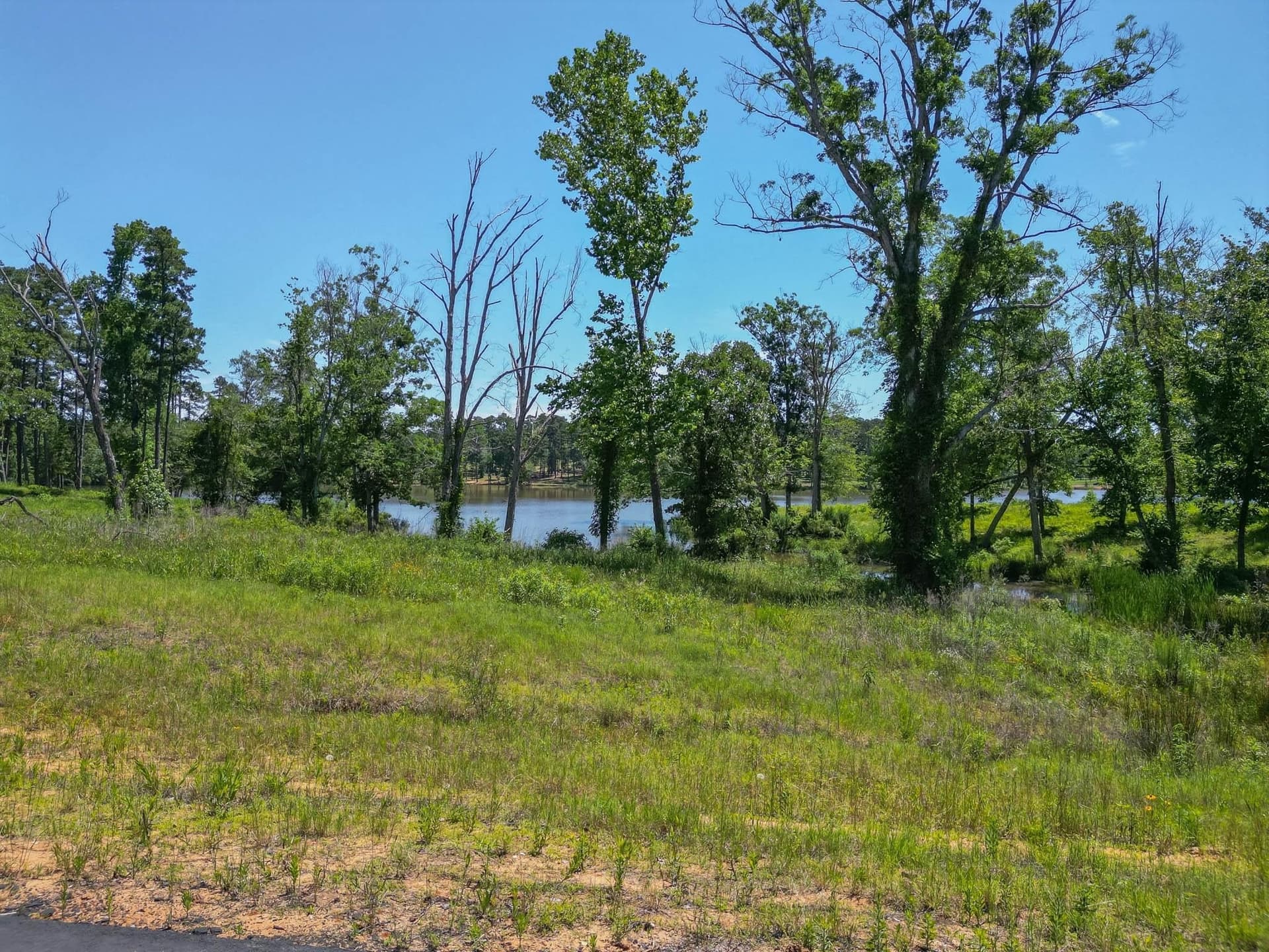 2.02 acres in Harrison County - photo 9