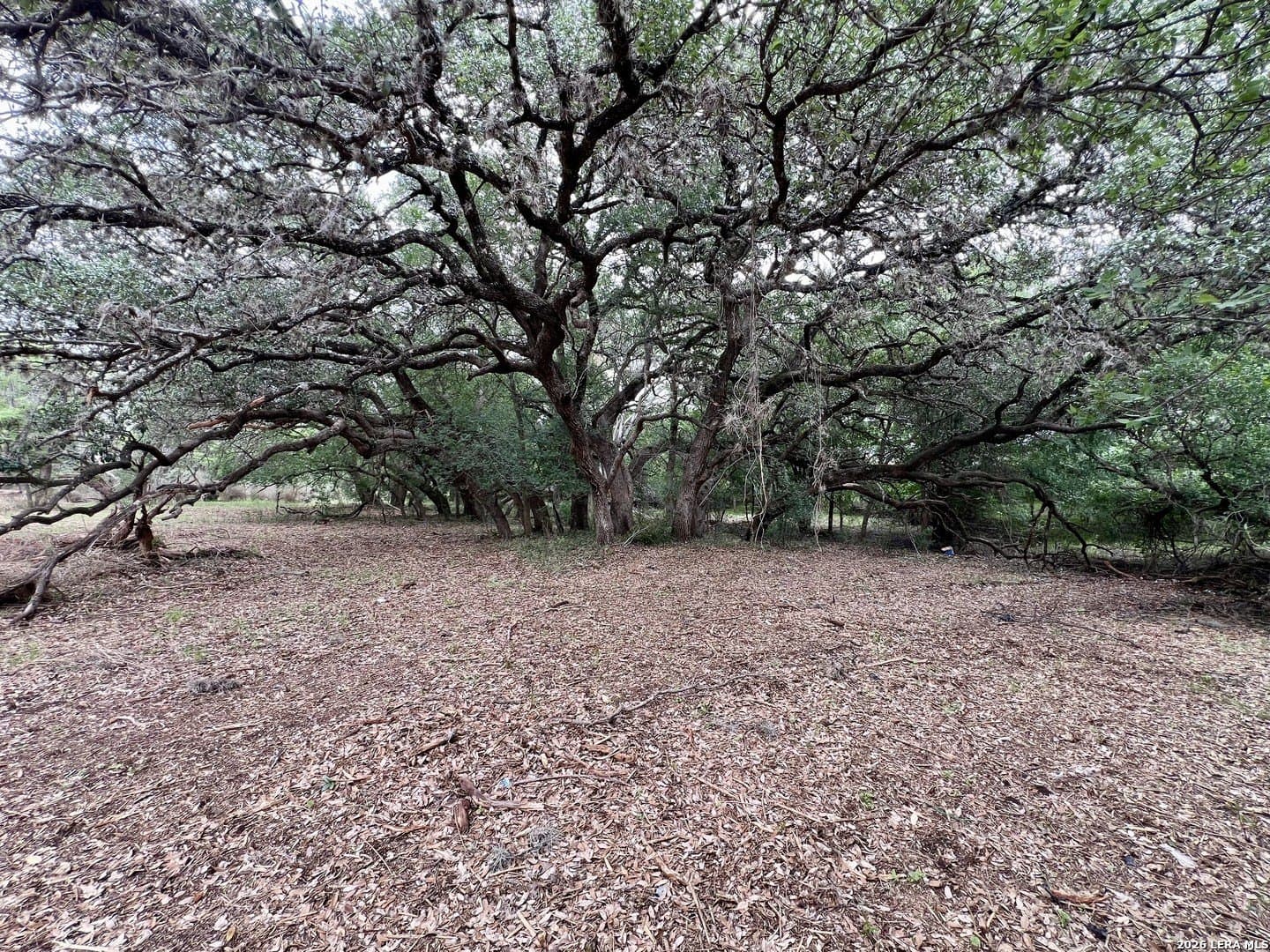 3.54 acres in Bexar County - photo 12