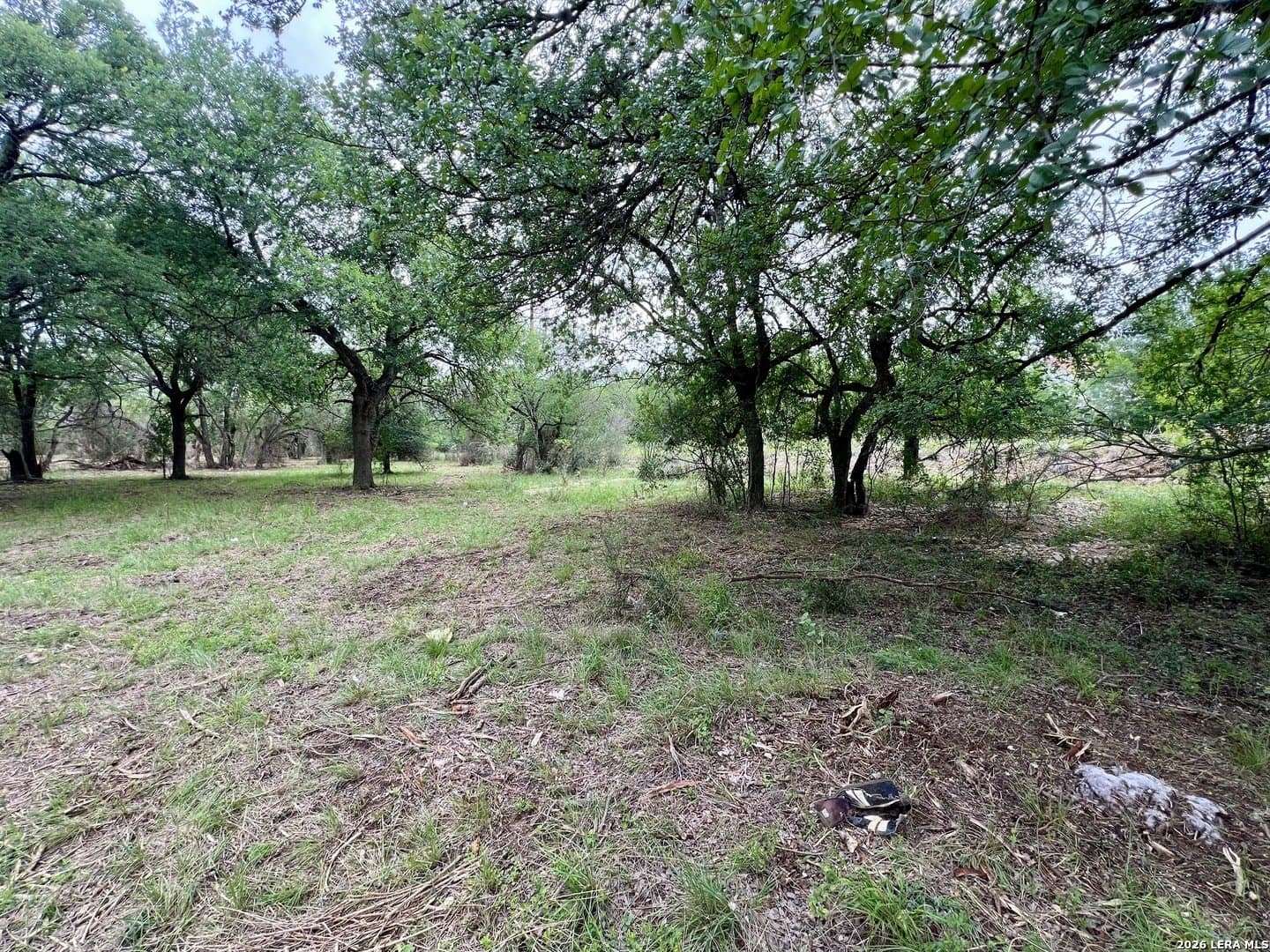 3.54 acres in Bexar County - photo 27